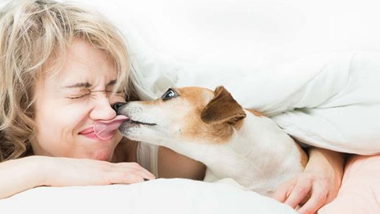 Έρευνα: Γιατί γλείφει ο σκύλος