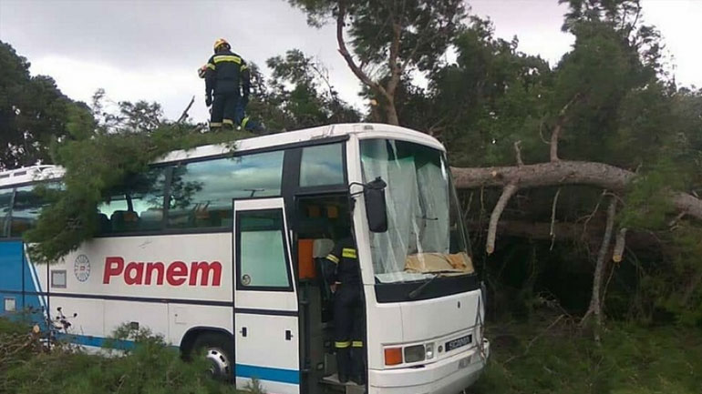 Κεφαλονιά: Δέντρο έπεσε πάνω σε λεωφορείο