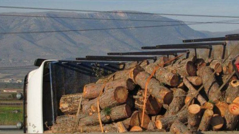 Έκλεισε ο δρόμος Σερρών – Θεσσαλονίκης λόγω ξύλων στο οδόστρωμα