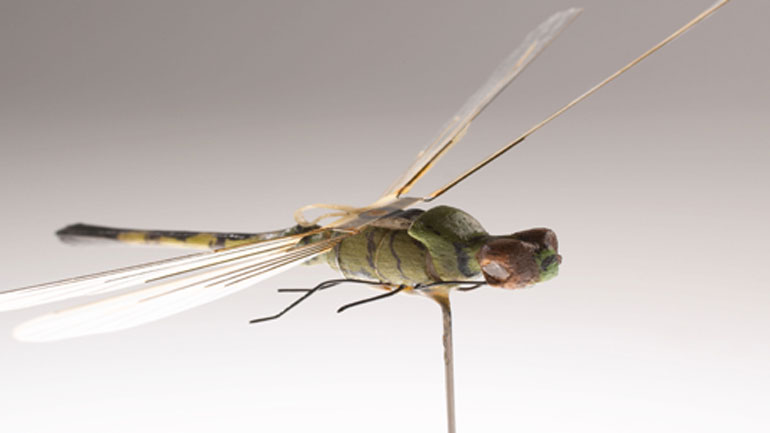 To drone-λιβελούλη: Γνωρίστε τον πρόδρομο των μη επανδρωμένων αεροσκαφών που κατασκευάστηκε από τη CIA