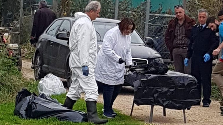 Αμαλιάδα: Μαζική θανάτωση σκύλων με φόλες