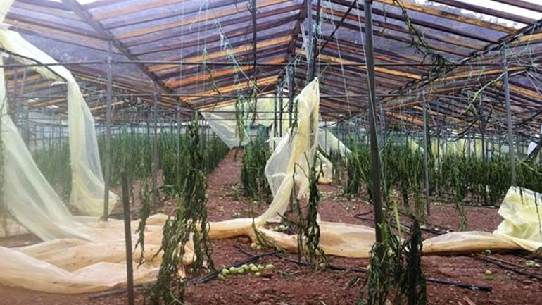 Ιεράπετρα: Καταστροφές σε θερμοκήπια από ανεμοστρόβιλο