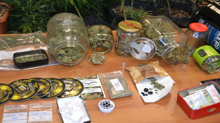 Έφτιαχνε χασισέλαιο με μεγάλη ποσότητα κάνναβης