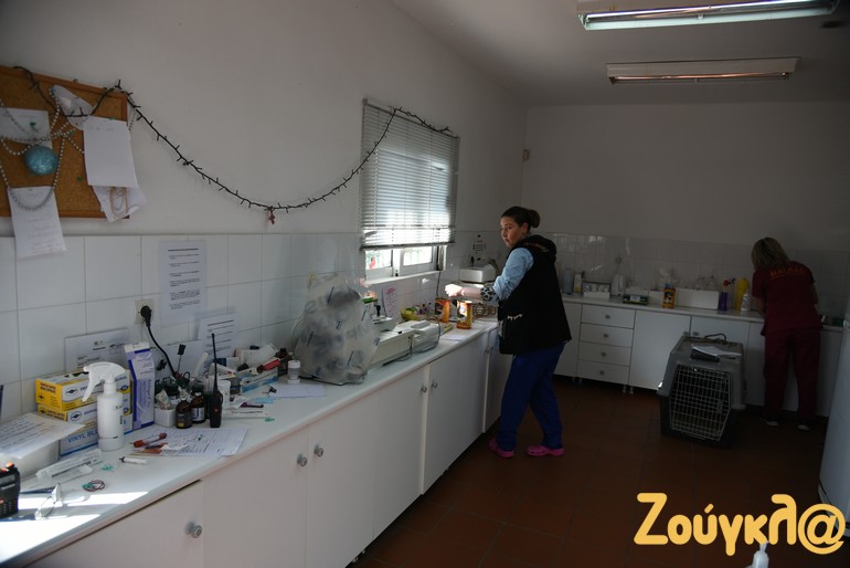 Στο ΔΙΚΕΠΑΖ λειτουργείο σύγχρονο κτηνιατρείο