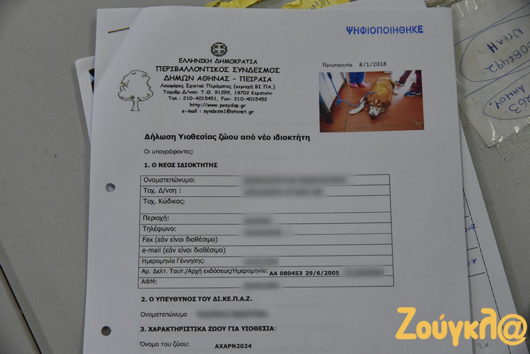 Περίπου το 10% των ζώων υιοθετούνται από ενδιαφερόμενους πολίτες