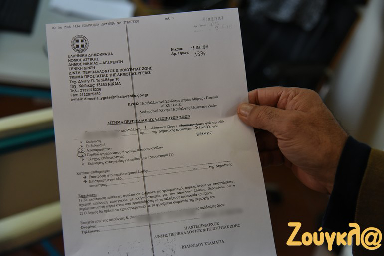 Οι Δήμοι αιτούνται την περισυλλογή των ζώων από τα συνεργεία του ΔΙΚΕΠΑΖ