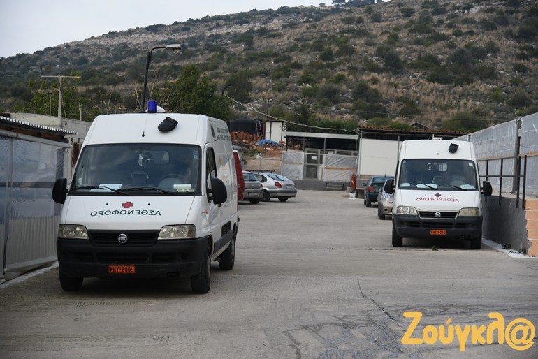 Ειδικά ασθενοφόρα παραλαμβάνουν τα αδέσποτα από διάφορα σημεία της Αττικής, συνήθως μετά από αιτήματα των Δήμων