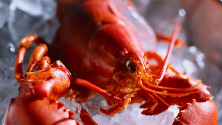 Ελβετία: Οι αστακοί πρέπει να αναισθητοποιούνται πριν μαγειρευτούν