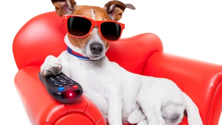 «Ο Υπο-Κοσμικός»