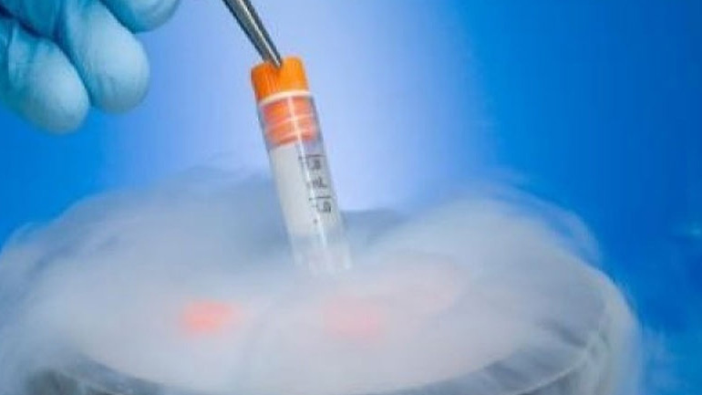 Τι είναι η κατάψυξη ωαρίων και σε ποιες γυναίκες απευθύνεται;