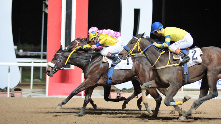 Θέαμα και νέες αφίξεις στο Μαρκόπουλο – Δεύτερη ιπποδρομιακή συγκέντρωση της χρονιάς με επτά κούρσες