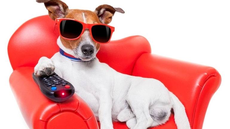 «Ο Υπο-Κοσμικός»