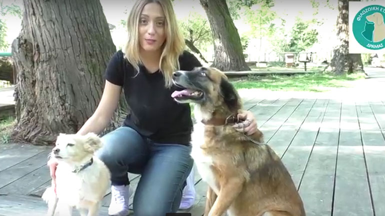 H… φιλόζωη Άννα Κορακάκη