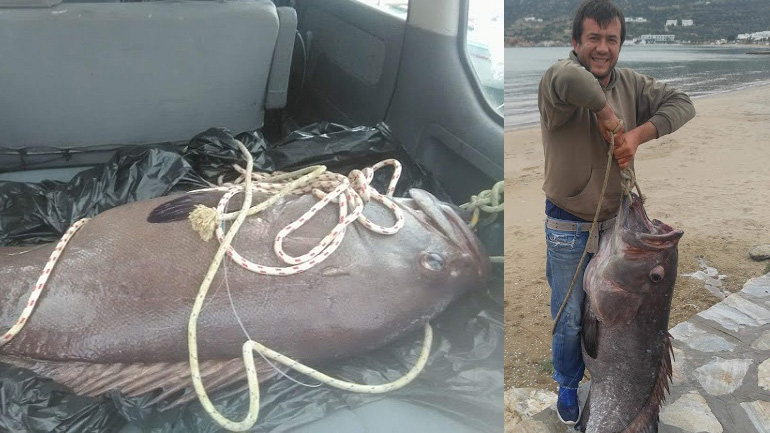 Απίστευτη ψαριά 105 κιλών στη Σίφνο