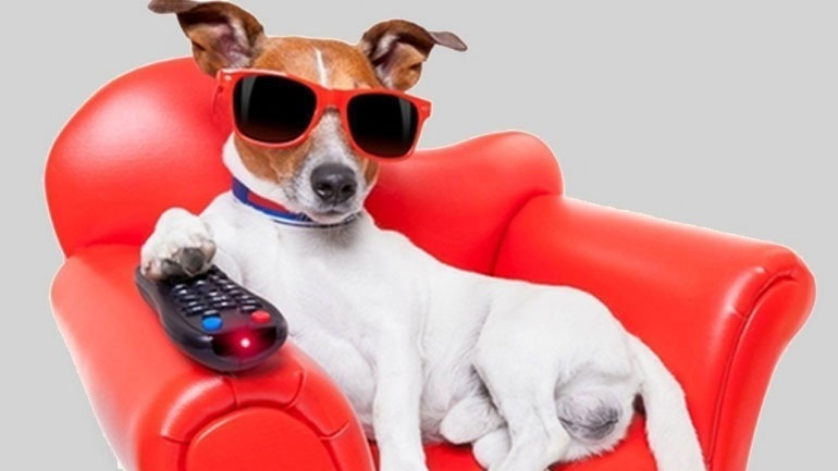 «Ο Υπο-Κοσμικός» «Ο Υπο-Κοσμικός»