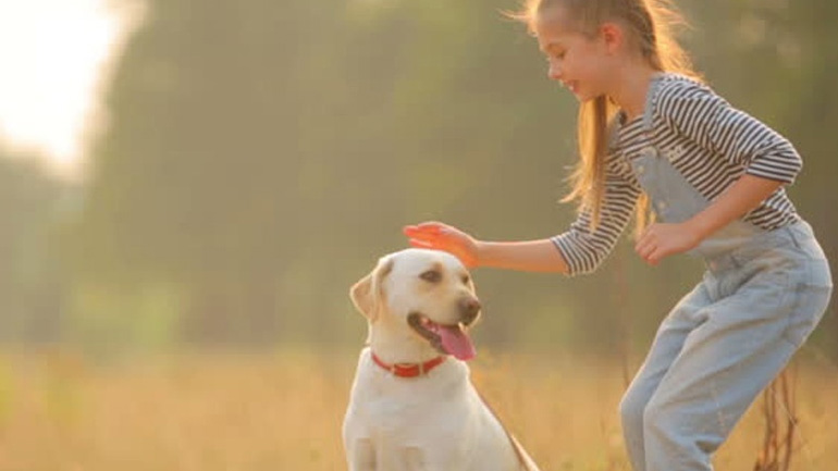 Σκύλος και παιδί: Πώς θα αποφύγετε τα ατυχήματα;