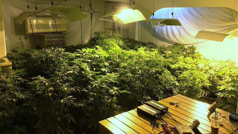 Αιγάλεω: Γυναίκα μετέτρεψε ισόγειο σε εργαστήριο υδροπονικής καλλιέργιειας κάνναβης