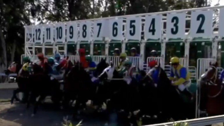 Στρατηγική συνεργασία της Ιπποδρομίες ΑΕ του ΟΠΑΠ με τη Λέσχη Ιπποδρομιών Λευκωσίας