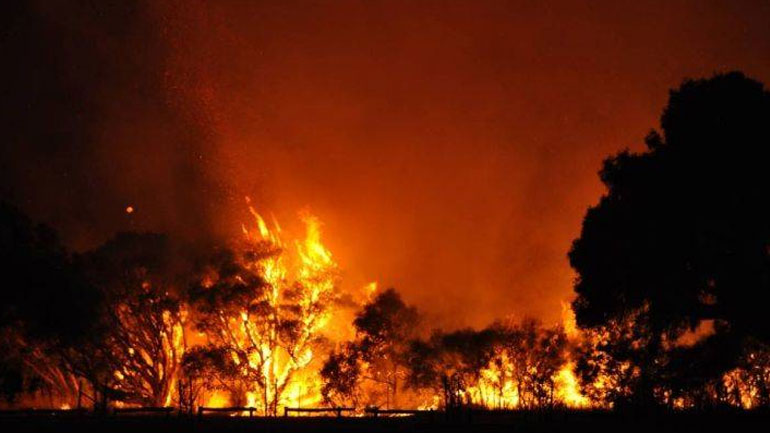Αυστραλία: Εκκενώθηκε καταφύγιο άγριων ζώων εξαιτίας μεγάλης πυρκαγιάς στη βόρεια Τασμανία