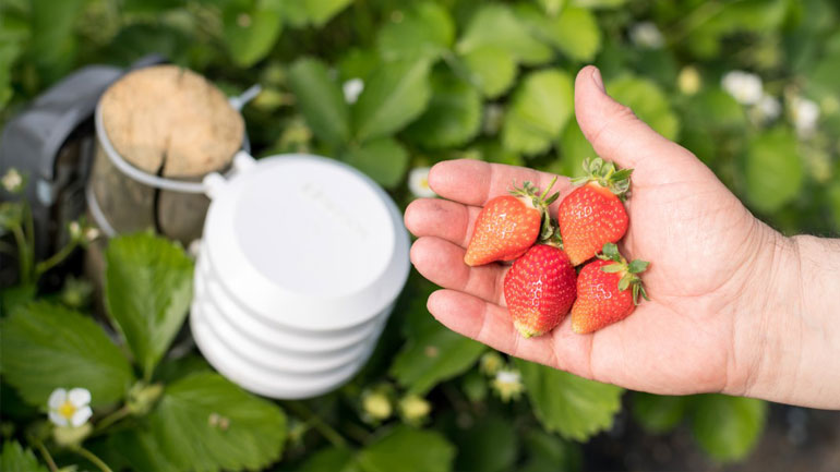 Έξυπνη γεωργία από την Bosch στην Agrotica 2018