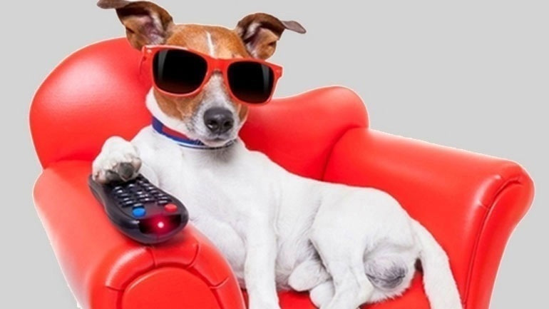 «Ο Υπο-Κοσμικός»