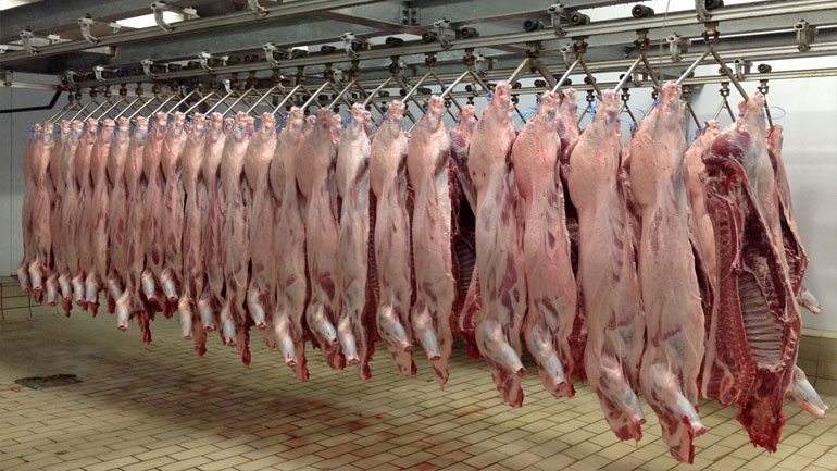 Παρέμβαση εισαγγελέα για 10.000 σφάγια Ρουμανίας που βαφτίστηκαν ελληνικά