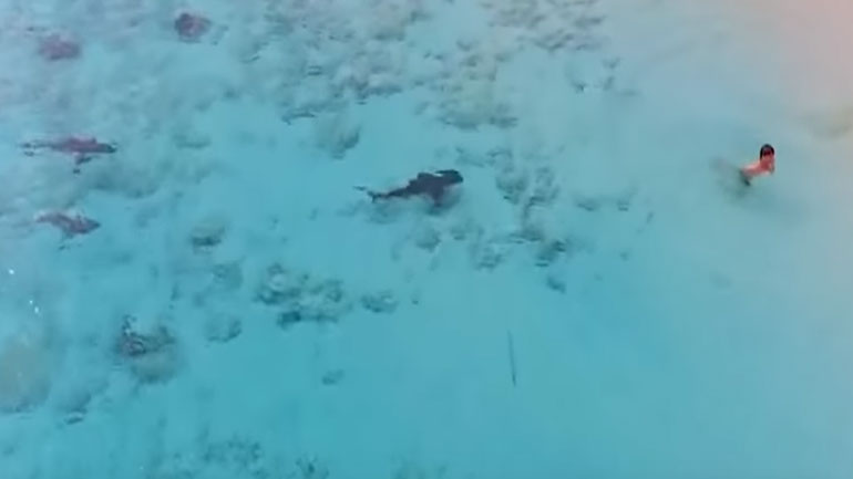 Αγόρι γλιτώνει την τελευταία στιγμή από τα σαγόνια καρχαριών, χάρη στις φωνές κάμεραμαν!