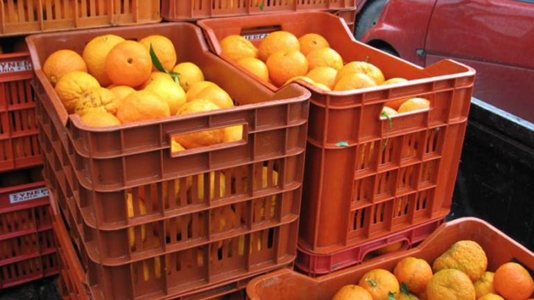 Δέσμευση 5,6 τόνων εσπεριδοειδών χωρίς σήμανση