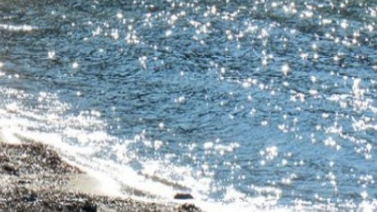 Βρωμονέρι Γαργαλιάνων: Ψαράς βρήκε στη θάλασσα διαμελισμένο πτώμα