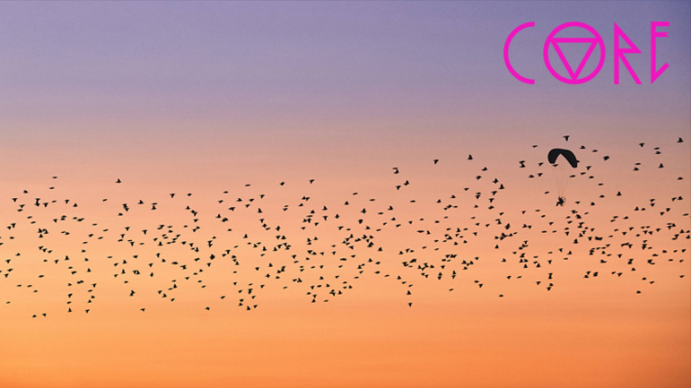 Δες τον paraglider σε μια μαγική πτήση με πουλιά