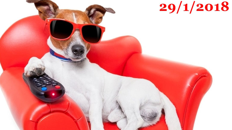 «Ο Υπο-Κοσμικός»