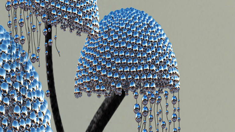 Ένα δέντρο που «πραγματοποιεί» τις επιθυμίες σου στην Ινδία