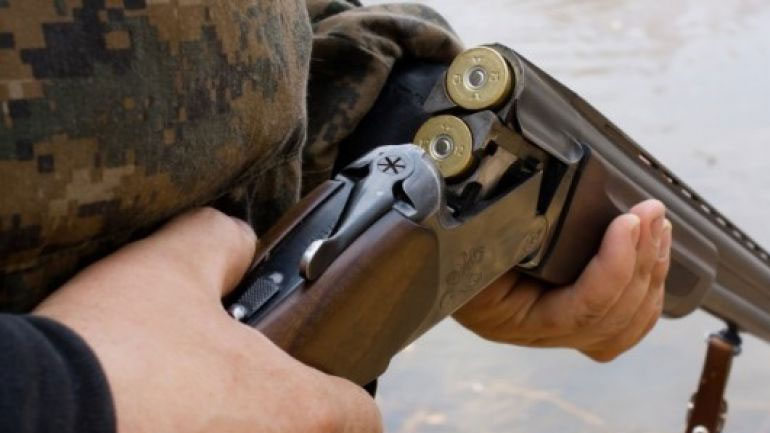 Ζάκυνθος: Κυνηγός πυροβόλησε και τραυμάτισε αδέσποτο σκύλο