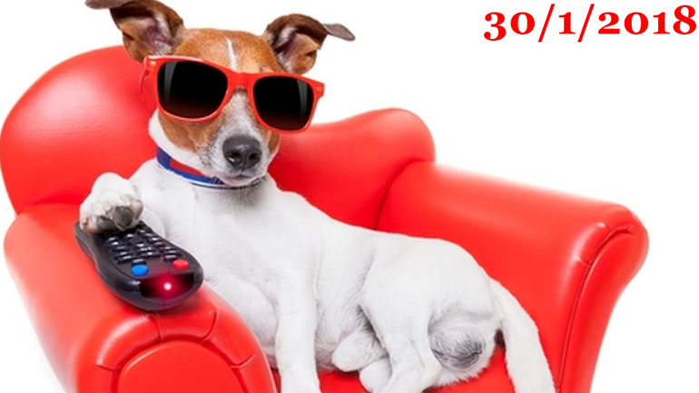 «Ο Υπο-Κοσμικός»