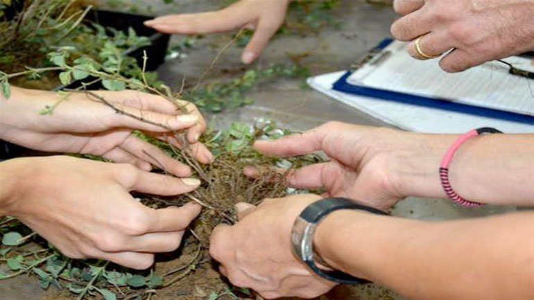 Λαγκαδάς: Ξεκίνησε το πρόγραμμα κατάρτισης στην καλλιέργεια αρωματικών φυτών