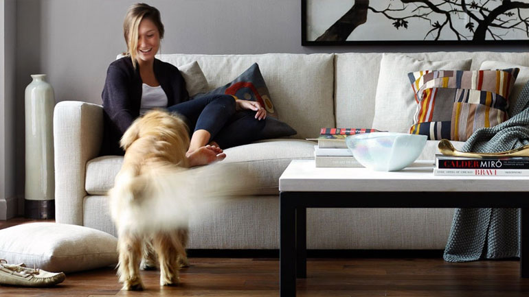 Μελέτη: Γιατί τα σκυλιά αντιδρούν στο βλέμμα μας