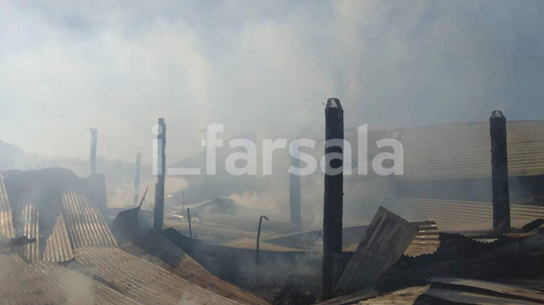 Κάηκαν ζώα έπειτα από φωτιά σε ποιμνιοστάσιο στα Φάρσαλα