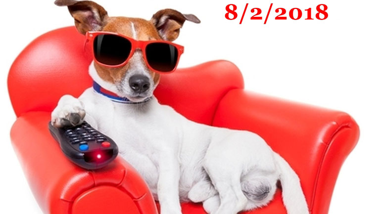 «Ο Υπο-Κοσμικός»