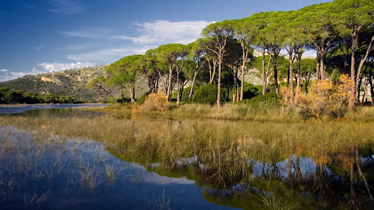 Περιβαλλοντικές οργανώσεις: «Το νέο νομοσχέδιο αποτελεί μια καινούργια αφετηρία για την προστασία της φύσης στην Ελλάδα»