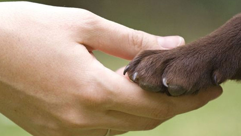 Πότε έγινε ο σκύλος ο καλύτερος φίλος του ανθρώπου;