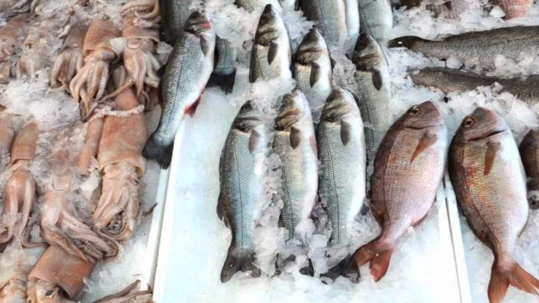 Κατασχέθηκαν ακατάλληλα αλιεύματα στον Πειραιά