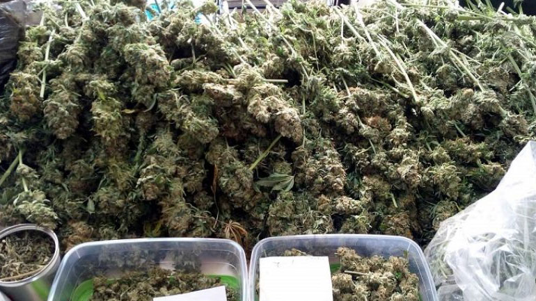 Περαία: Είχε στήσει εργαστήριο υδροπονικής καλλιέργειας κάνναβης στο σπίτι του