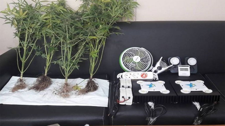 Αλεξανδρούπολη: Είχαν στήσει εργαστήριο υδροπονικής καλλιέργειας κάνναβης στο σπίτι τους