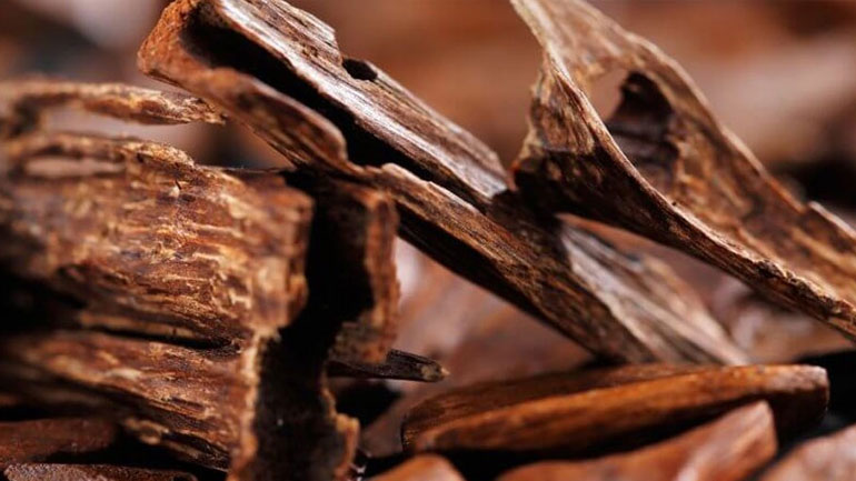 Τα θαυματουργά οφέλη του σανταλόξυλου στο δέρμα μας Τα θαυματουργά οφέλη του σανταλόξυλου στο δέρμα μας