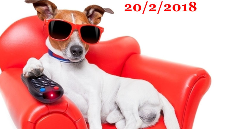 «Ο Υπο-Κοσμικός»