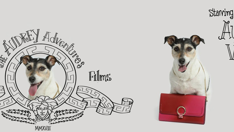 Μετά τον Gucci τώρα και ο Versace γιορτάζει τη χρονιά του σκύλου με μια μοναδική συλλογή!