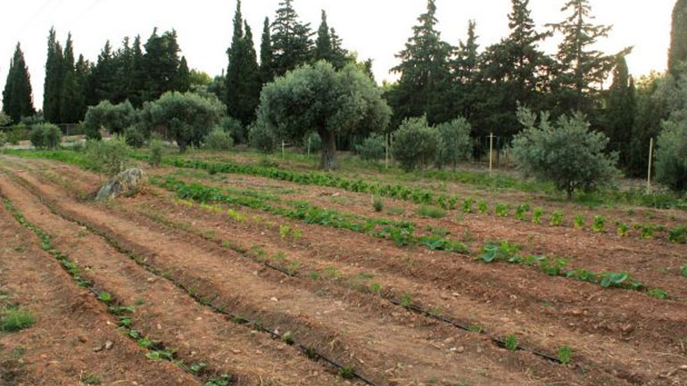 Από 23 Φεβρουαρίου η υποβολή αιτήσεων ενίσχυσης γεωργών για το 2018