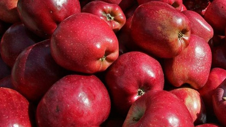 Δέσμευση 3,5 τόνων μήλων χωρίς ταυτότητα