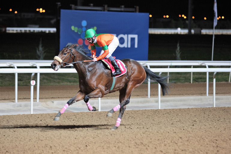 Ο ΡΑΝ ΤΟ ΔΕ ΧΙΛΣ εντυπωσιάζει στην πρώτη συμμετοχή του στο Μαρκόπουλο