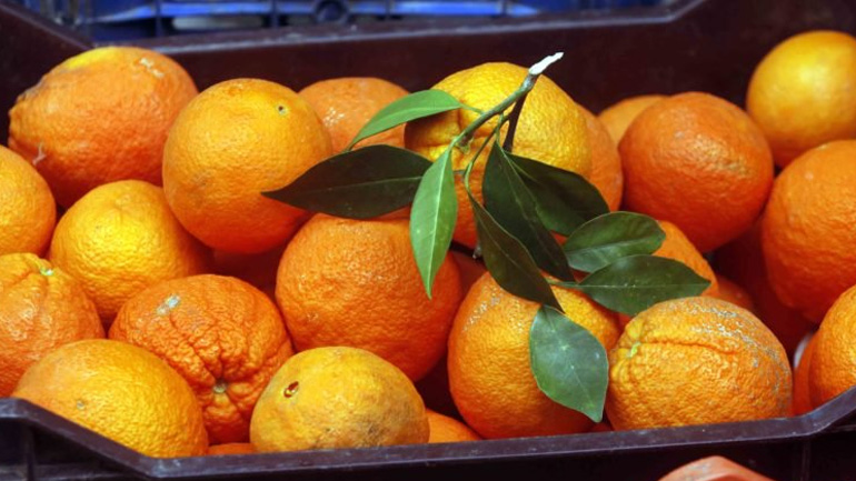 Δεσμεύτηκαν εσπεριδοειδή χωρίς σήμανση